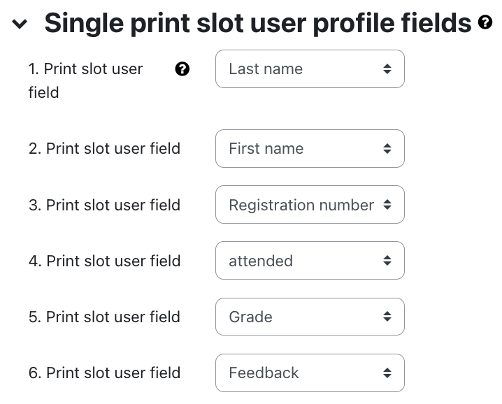 Print slot user fields Print slot user fields