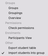 Selection of "import students into groups" The screenshot shows the dropdown menu for participants. It offers the areas "Groups" with "Groups", "Groupings", and "Overview", "Permissions" with "Check permissions", "Enrolments" with "Particiapants View" and the area "Other" with "Export student table" and "Import students into group", which is highlighted.