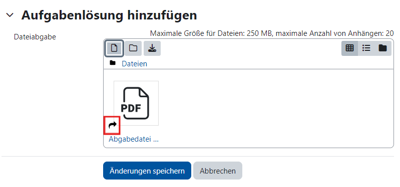 Screenshot der ausgewählten Datei im Uploadfenster. Ein schwarzer Pfeil links unten an der Datei signalisiert, dass es sich um einen zugriffsgesteuerten Link handelt.