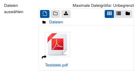Ausgewählte Datei Das Bildschirmfoto zeigt die aus Sciebo verlinkte Datei "Testdatei.pdf" in der Dateiauswahl. Das Symbol "Datei" sowie "Symbol" als Darstellungsvariante sind aktiviert, die übrigen Symbole sind deaktiviert. Die Date selbst wird mittels PDF-Symbol, Dateiname "Testdatei.pdf" und einem kleinen schwarzen Pfeil in der linken unteren Ecke des Symbols dargestellt.