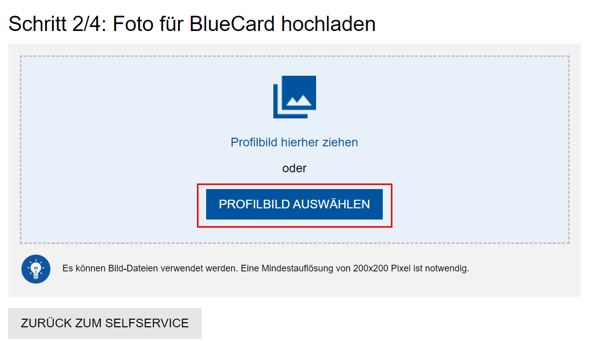 Screenshot des PictureManagers. Unter "Schritt 2/4: Foto für BlueCard hochladen" finden Sie die Schaltfläche "Profilbild auswählen".
