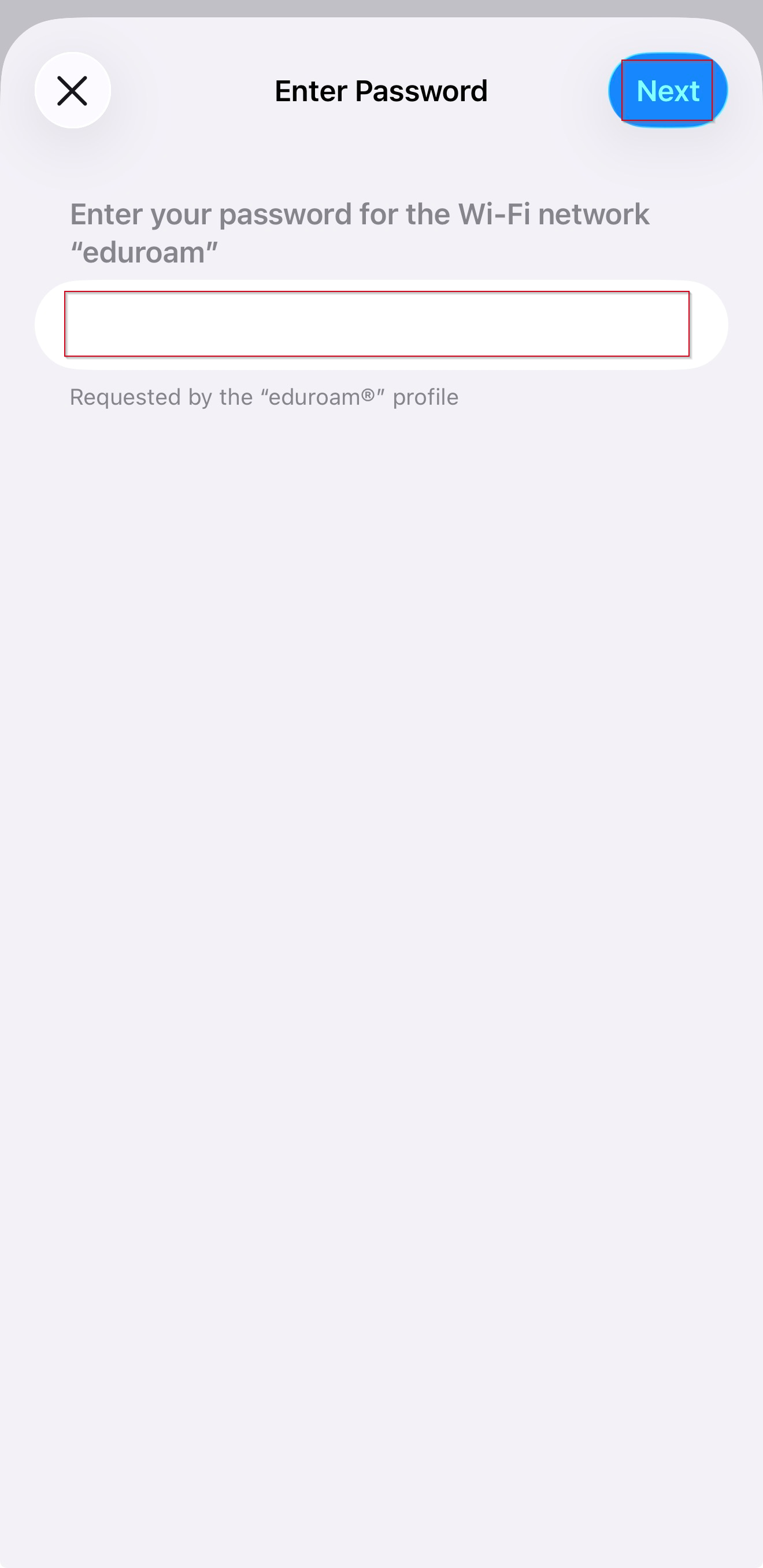 Password entry window