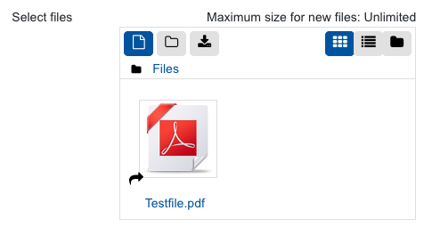 Screenshot: "Select files" dialogue, presenting a PDF symbol for the file "Testfile.pdf". In the bottom left corner of the PDF symbol there is a small black arrow. And below the symbol the name "Testfiled.pdf" is shown.