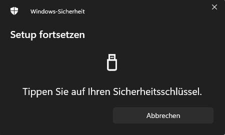 Screenshot des Fensters "Windows-Sicherheit".