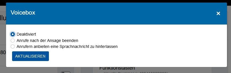 Window zur Aktivierung der Voicebox