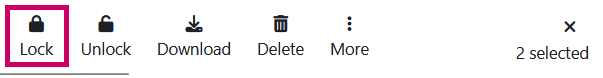 Screenshot: Menu bar with different options: "Lock", which is highlighted, "Unlock", "Download", "Delete" and "More". On the right, a cross icon and the information "2 selected".