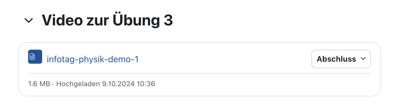 Der Bildschirmausschnitt zeigt den Link zu einem Video, welches als Datei hochgeladen wurde. Unter dem Link ist die Dateigröße und das Datum des Hochladens angegeben.