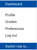 Switch role option Screenshot: Switch role option