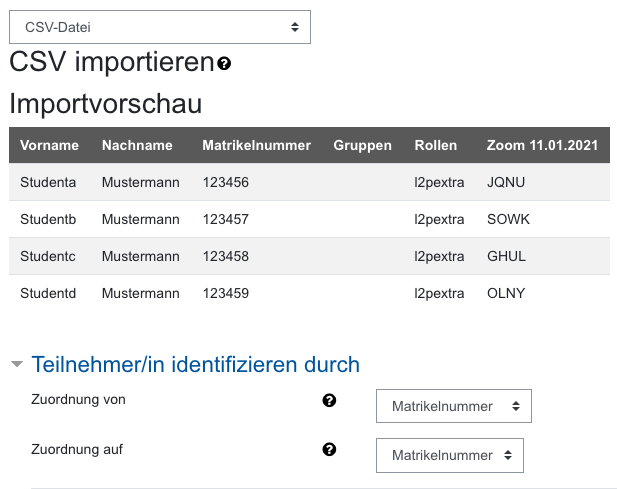 Screenshot: Importvorschau