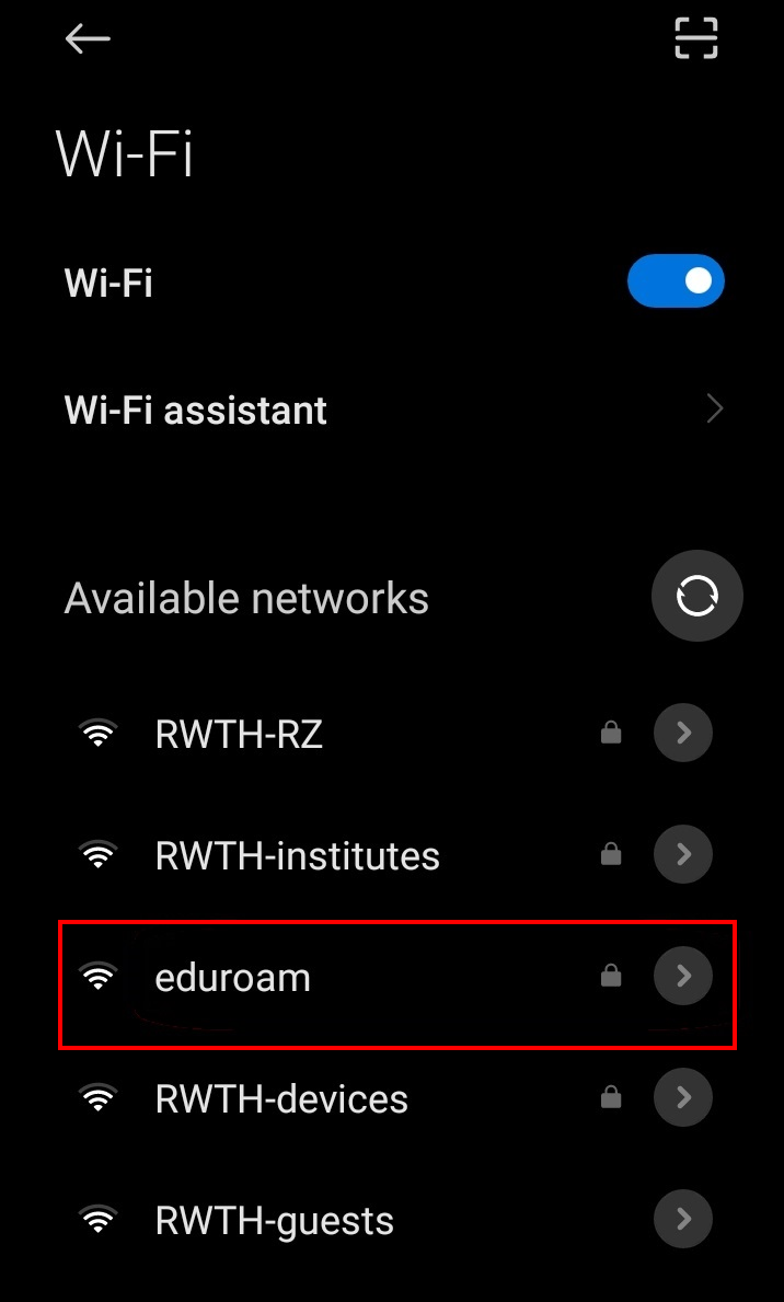 Screenshot of the WLAN settings. The network list can be found under “Available networks”. (The display may vary depending on the phone model).
