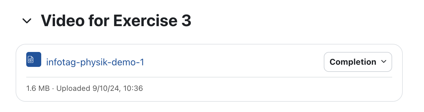 The screenshot shows the link to a video that was uploaded as a file. Below the link, the file size and the date of upload are given.