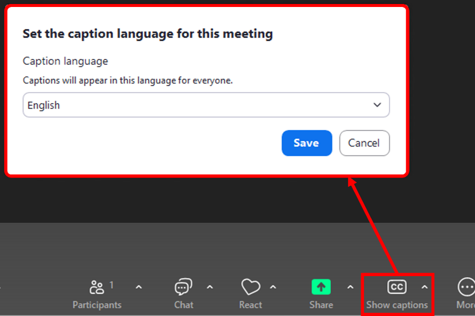 Screenshot of the Zoom interface. The screenshot shows an ongoing meeting. Under meeting options, the 'Show Captions' option is highlighted, and a dialog for language selection is displayed.