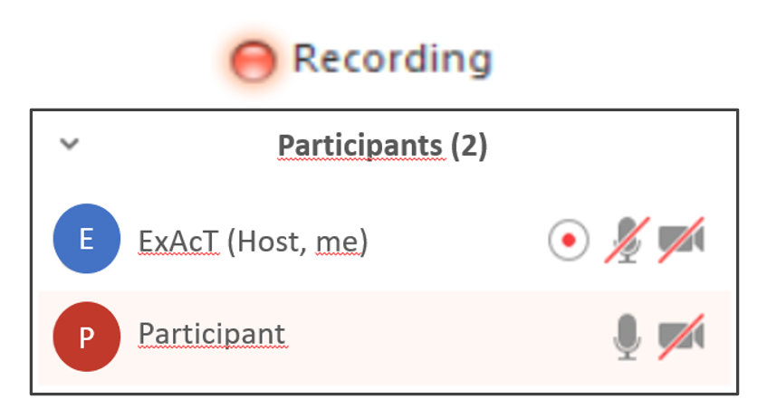 Screenshot of the Zoom interface. The screenshot shows the list of participants and an icon indicating that recording is in progress.