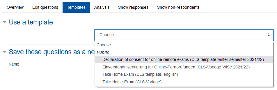 Screenshot: Template for feedback
