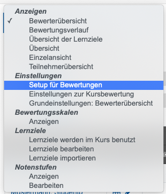 Screenshot: Auswahlmenü Bewerterübersicht