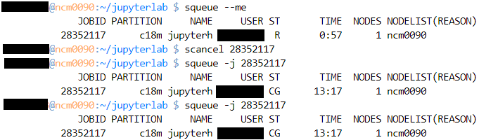 Terminating job using a command