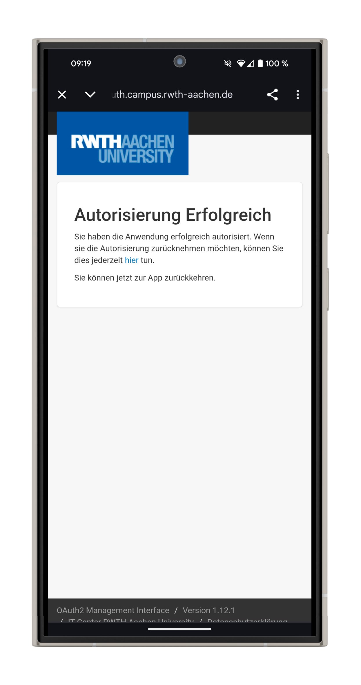 Screenshot der Autorisierungsseite. Die Meldung "Autorisierung erfolgreich" erscheint.