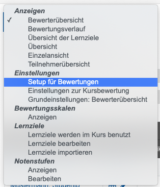 Auswahlmenü Bewerterübersicht