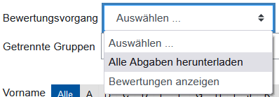 Screenshot Dropdown-Liste "Bewertungsvorgang"