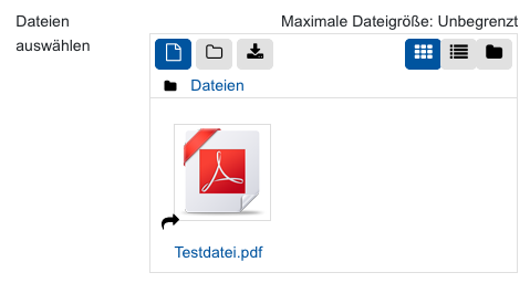 Das Bildschirmfoto zeigt die aus Sciebo verlinkte Datei "Testdatei.pdf" in der Dateiauswahl. Das Symbol "Datei" sowie "Symbol" als Darstellungsvariante sind aktiviert, die übrigen Symbole sind deaktiviert. Die Date selbst wird mittels PDF-Symbol, Dateiname "Testdatei.pdf" und einem kleinen schwarzen Pfeil in der linken unteren Ecke des Symbols dargestellt.