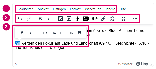 Screenshot des TinyMCE. Einzelne Bestandteile markiert.