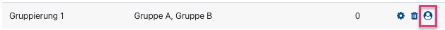 Abgebildet ist eine Zeile zur Gruppierung "Gruppierung 1". Neben dem Namen sind die Gruppen "Gruppe A, Gruppe B" aufgeführt, am rechten Rand sind Symbole zum Bearbeiten (Zahnrad), Löschen (Papierkorb) und Gruppenbearbeitung (Person) zu erkennen.