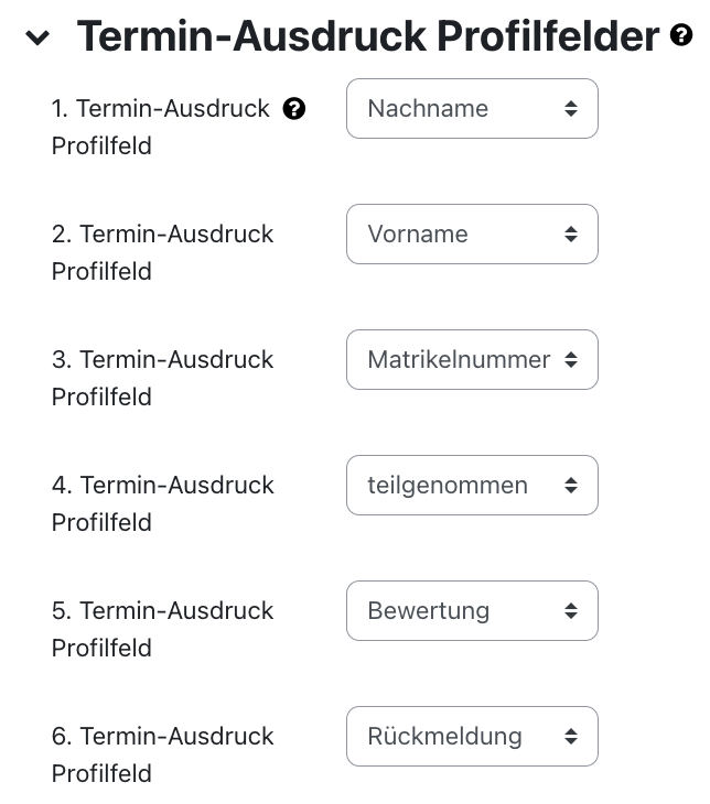 Termin-Ausdruck Profilfelder Einstellungen