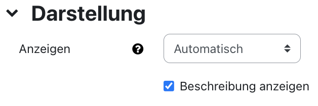 Der Bildschirmausschnitt zeigt den Bereich "Darstellung". Das Feld "Anzeigen" besitzt ein Dropdown-Menü, in welchen "Automatisch" ausgewählt ist.  Die Checkbox "Beschreibung anzeigen" ist aktiviert.