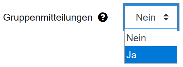 Der Bildschirmausschnitt zeigt das Dropdown-Menü "Gruppenmitteilungen" mit den Optionen "Nein" und "Ja", "Nein" ist ausgewählt.