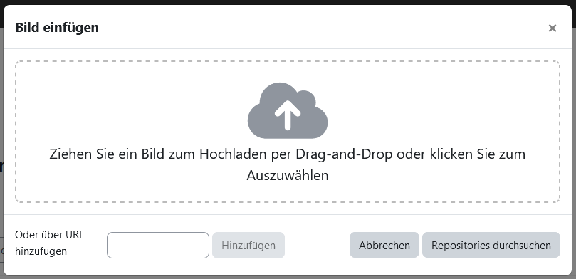 Screenshot: Fenster mit der Überschrift "Bild einfügen" und Anweisungen zur Nutzung von Drag-and-drop