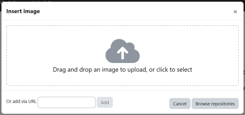 Screenshot: Window with the heading "Insert image" and instructions on how to use drag-and-drop