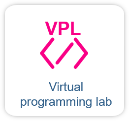 Virtual programming lab