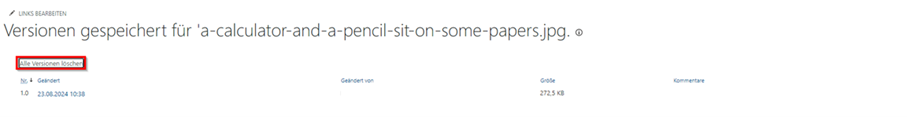 Screenshot des Versionsverlauf. Die Versionen werden in einer Tabelle aufgelistet. Über die Tabelle befindet sich den Button "Alle Versionen löschen".
