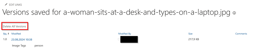 Screenshot of the version history. The versions are listed in a table. The "Delete all versions" button is located above the table.