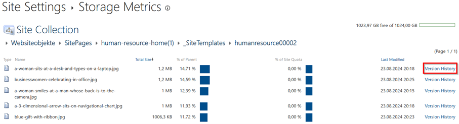 Screenshot of the content of the folder "Websiteobjekte" used as an example. The files are listed in a table with their storage metrics in the column "% of Parent".