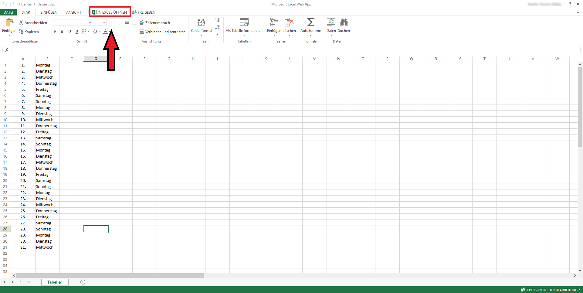 Excel Web App editing-view