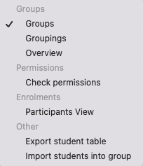 The screenshot shows a view of the dropdown menu with all accessible actions. Under "Groups" there is "Groups", "Groupings", and "Overview". Under "Permissions" there is "Check permissions" and under "Enrolments" you can find "Participants View". "Other" has two actions, "Export student table" and "Import students into group". The action "Groups" is highlighted.
