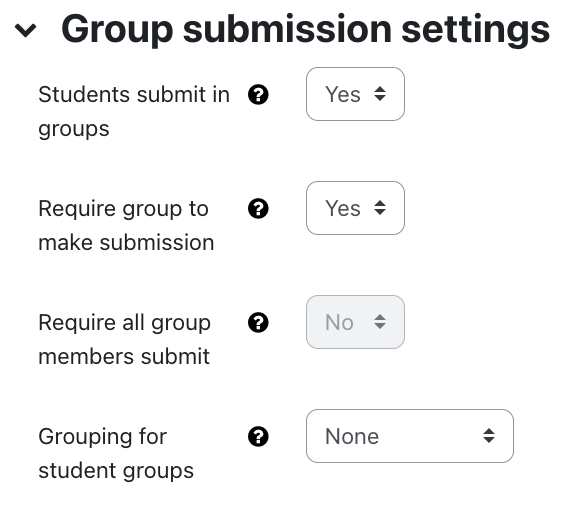 Group submission settings for assignment