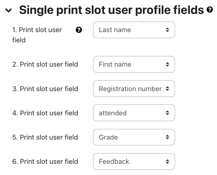 Print slot user fields