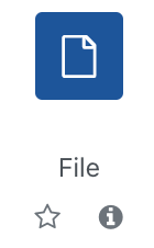The screenshot shows the entry for the "File" resource. It has a document icon on a blue square background, the title "File", a star to mark this resource as a favourite, and an info icon (an "i" on a black circle) that links to information on this resource.