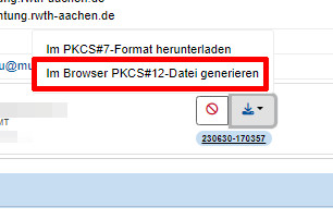 PKCS #12 Datei generieren