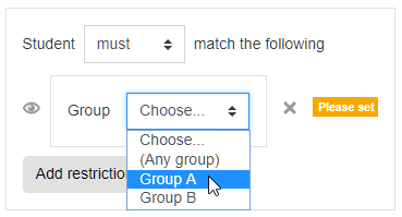 Screenshot: Add group restrictions options